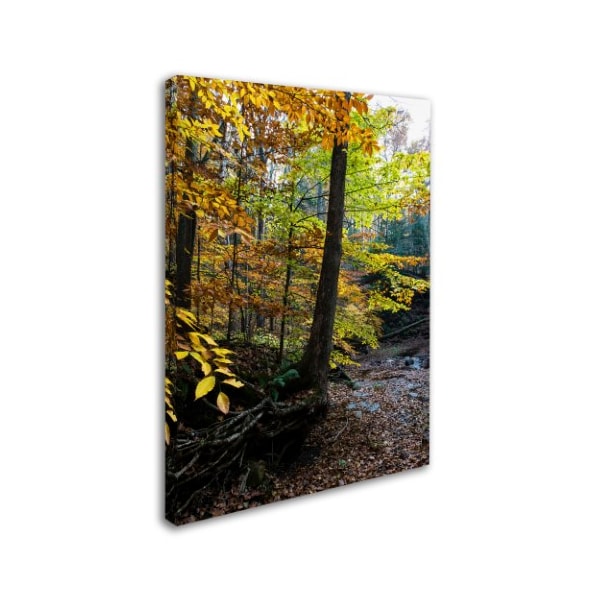 Kurt Shaffer 'Autumn Afternoon' Canvas Art,14x19